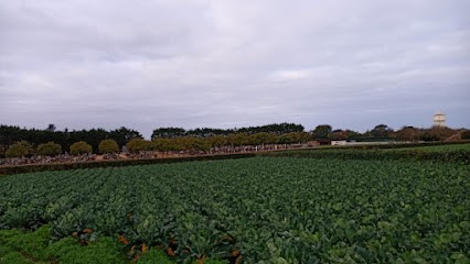 Cimetière communal de Roscoff, Cimetière à Roscoff