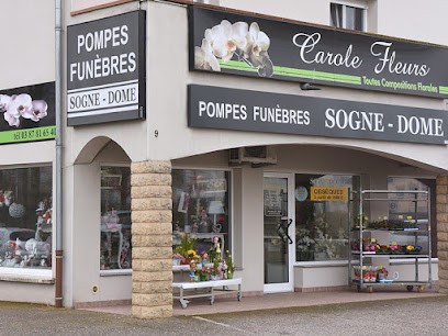 Pompes Funèbres Carole Fleurs, Pompes Funèbres à Théding