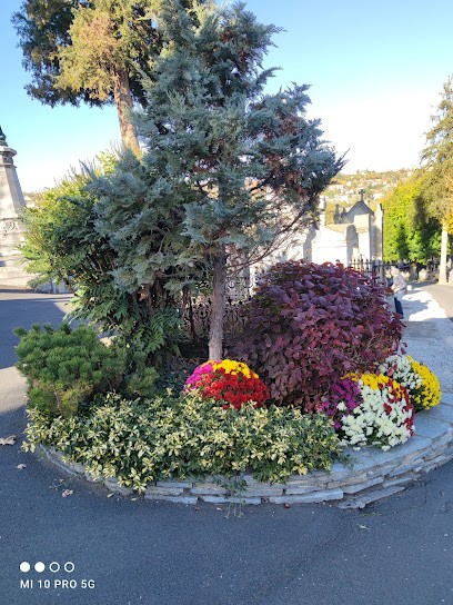 Cimetière du Puy en Velay, Cimetière à Aiguilhe