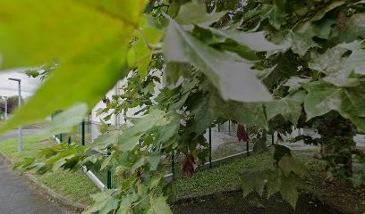 Pompes Funèbres - Marbrerie Loubet-VICTOR, Pompes Funèbres à Horgues