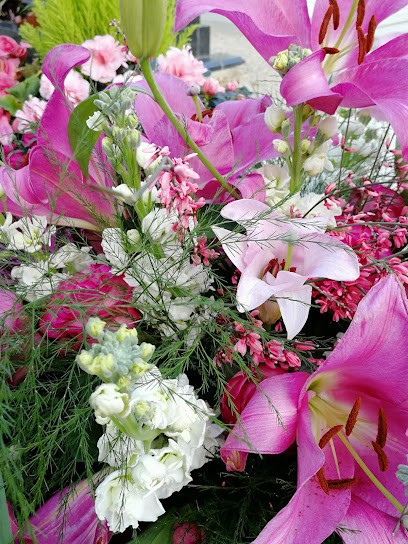 Cimetière De Carros, Cimetière à Carros