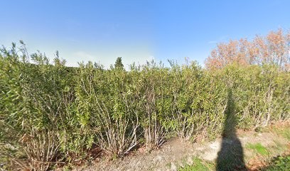 Cimetière De Rognonas, Cimetière à Rognonas
