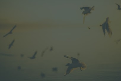 Pompes Funèbres Cuminetti, Pompes Funèbres à Saint-Girons