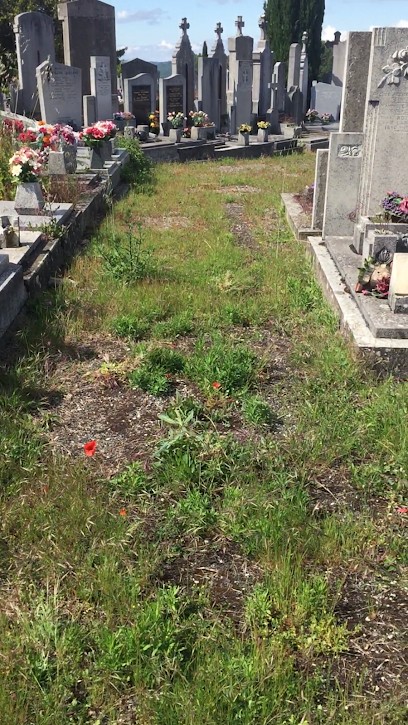 Cimetière De Givors, Cimetière à Givors