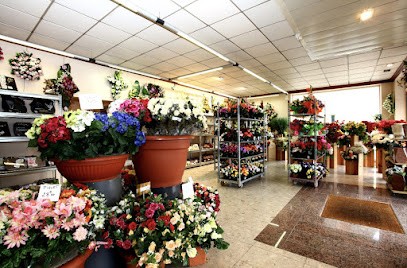 RIGOULET Pompes Funèbres - Funérarium - Crémation - Marbrier Fabricant, Pompes Funèbres à Périgueux