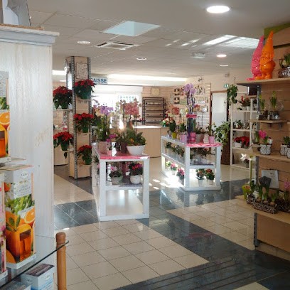 Pompes Funèbres Guidon Neuves Maisons, Pompes Funèbres à Neuves-Maisons