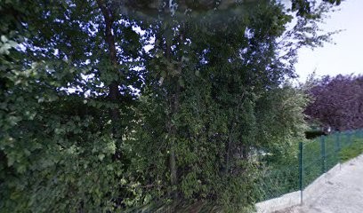 Nouveau Cimetiere, Cimetière à Montluel