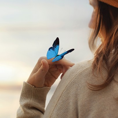 Pompes Funèbres Anémone Certenais - Le Choix Funéraire, Pompes Funèbres à Plélan-le-Petit
