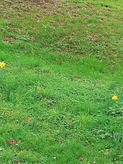 Cimetière Bois Gramond - Eysines, Cimetière à Eysines