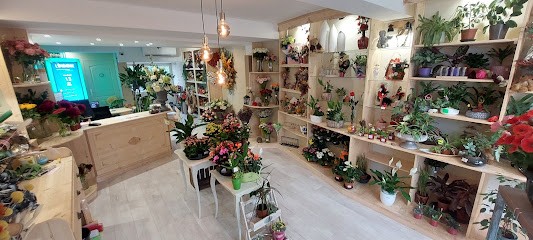 Hélios Pompes Funèbres, Pompes Funèbres à Lombez