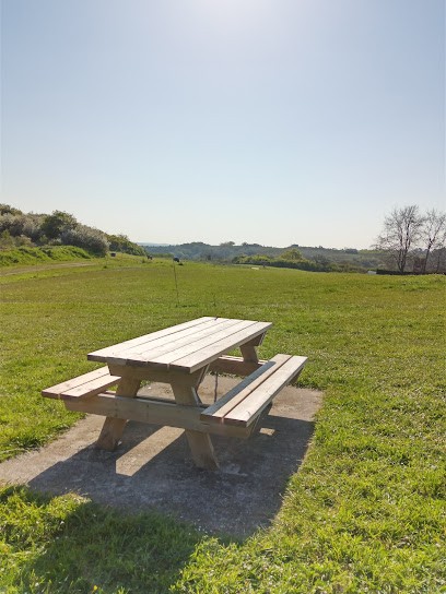 Cimetière de Cesson, Cimetière à Saint-Brieuc