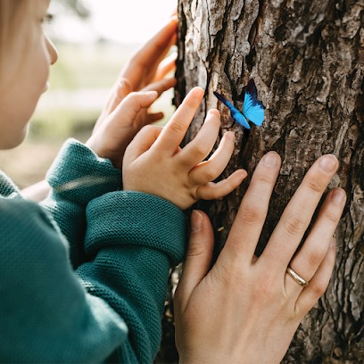 Pompes Funèbres Le Choix Funéraire Anémone, Pompes Funèbres à Rots