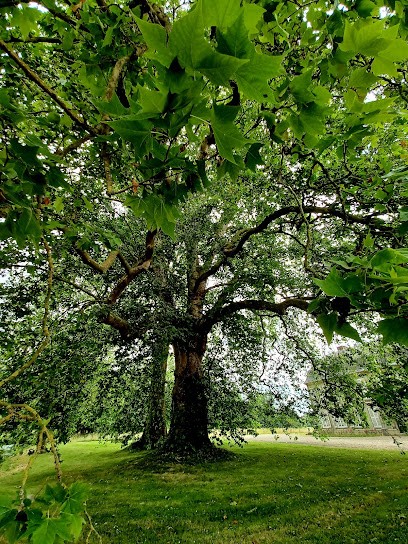 Cimetière catholique Saint-Pierre à Monthières de Bouttencourt, Cimetière à Bouttencourt