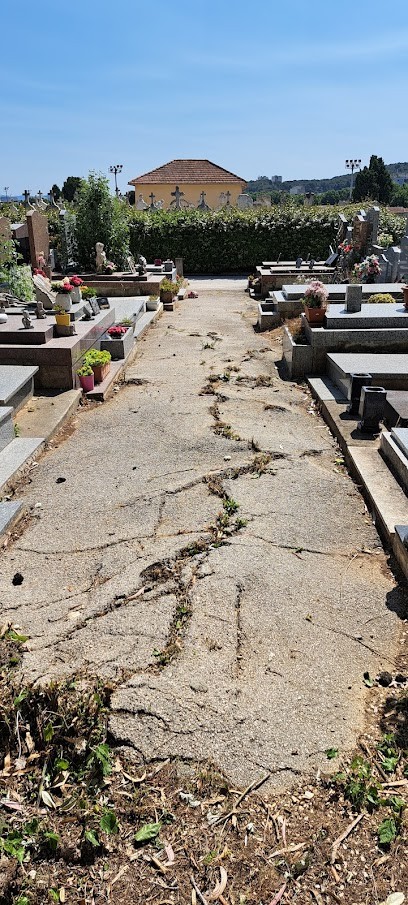 Cimetière de La Seyne-sur-Mer (Entrée des Convois funéraires), Cimetière à La Seyne-sur-Mer