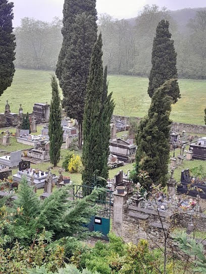 Cimetière De Camon, Cimetière à Camon