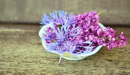 PF L'Étoile Funéraire, Pompes Funèbres à Vieillevigne