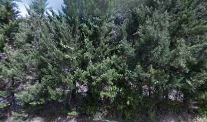 Cimetière Nouveau de Maureillas-Las-Illas, Cimetière à Maureillas-las-Illas