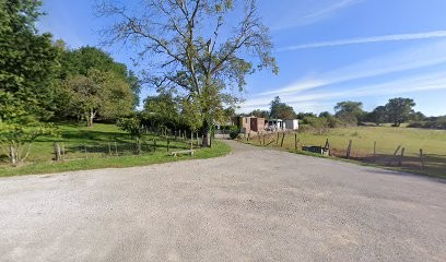 Cimetière de Courlans, Cimetière à Courlans