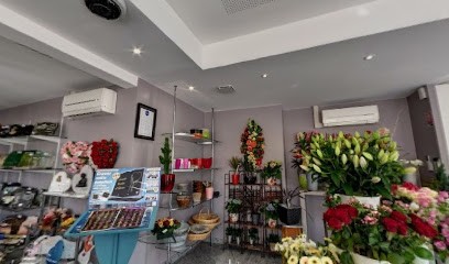 Pompes Funèbres Botta, Pompes Funèbres à Villeneuve-sur-Yonne