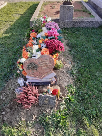 Cimetière de Chazelles-sur-Lyon, Cimetière à Chazelles-sur-Lyon