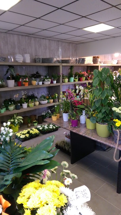 Pompes Funèbres DE L'ARTOIS - Le Choix Funéraire, Pompes Funèbres à Vimy