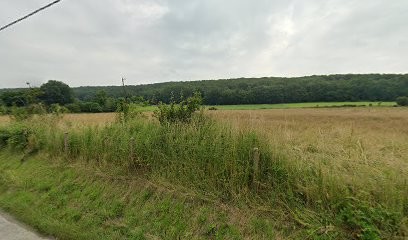 Marbrerie Pompes Funèbres Sailly, Pompes Funèbres à Sainte-Opportune-la-Mare