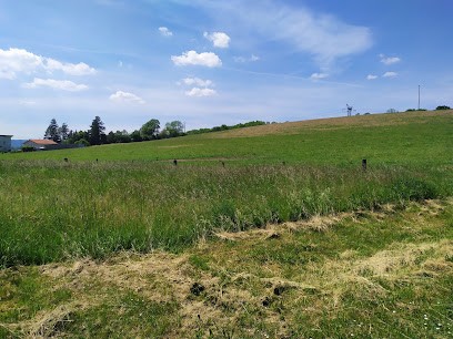Cimetière d'Art-sur-Meurthe, Cimetière à Art-sur-Meurthe
