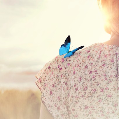 Pompes Funèbres Anémone Certenais - Le Choix Funéraire, Pompes Funèbres à Quévert