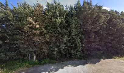 Cimetière Alénya, Cimetière à Alénya