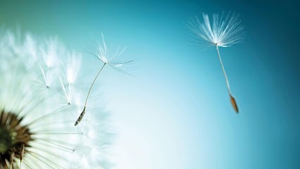 Pompes Funèbres Et Marbrerie CRÉPET, Pompes Funèbres à Montrond-les-Bains