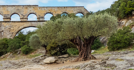 Pompes Funèbres Les Oliviers Pompes Funèbres à Vergèze