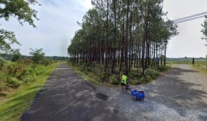 Cimetière de Sainte-Rose, Cimetière à Sanguinet