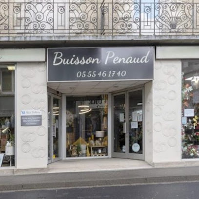 Pompes Funèbres Buisson Penaud Place Voltaire Pompes Funèbres à Ussel