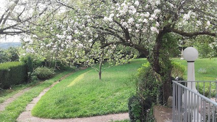 Cimetière De Saint-Rémy-lès-Chevreuse, Cimetière à Saint-Rémy-lès-Chevreuse